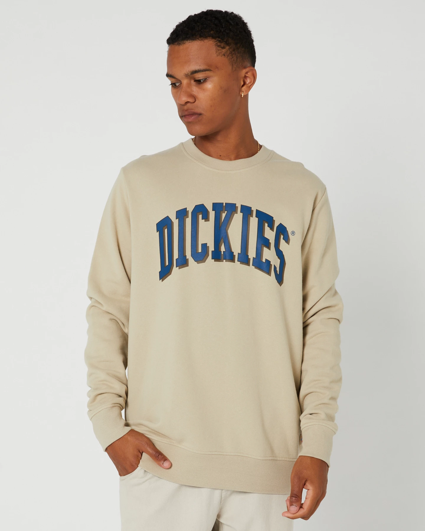 Dickies Longview Crew Neck Sweater 1 Dickies Longview Crew Neck Sweater